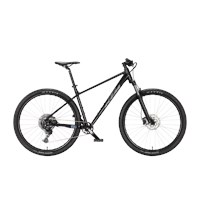 CHICAGO 291 L/48 black 1x10 Cues